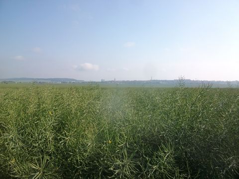 Foto 41